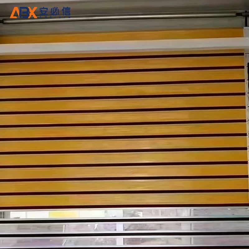 澳门特别行政区感应高速门